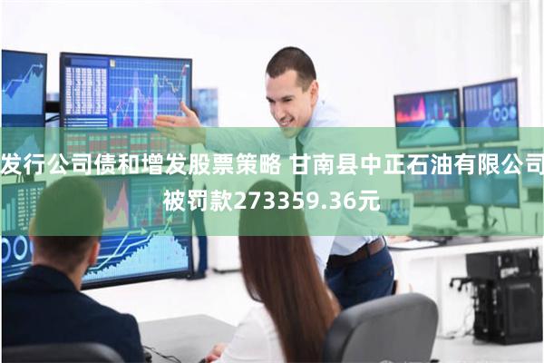 发行公司债和增发股票策略 甘南县中正石油有限公司被罚款2