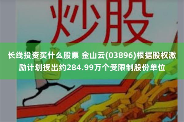 长线投资买什么股票 金山云(03896)根据股权激励计划授出约284.99万个受限制股份单位